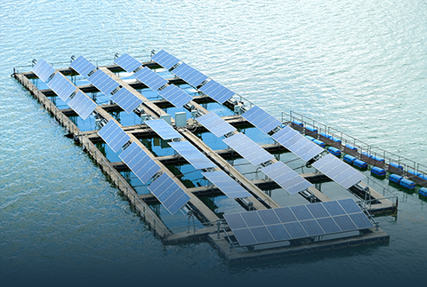 Fishery And Photovoltaic Complementarity